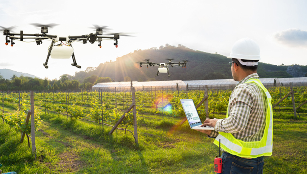 Technology and Food Security