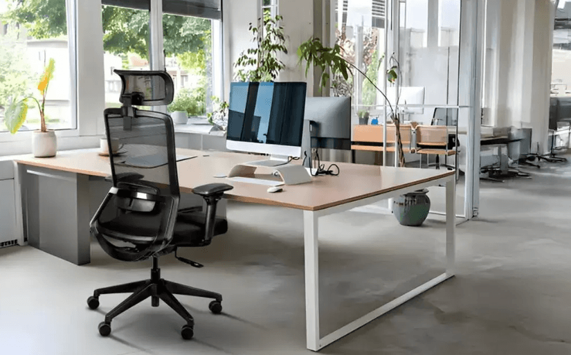 Affordable Office Chairs: Delhi’s Best Wholesale Shops Revealed